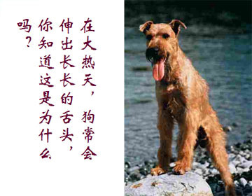 汽化