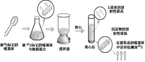侵染