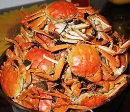 轻淡