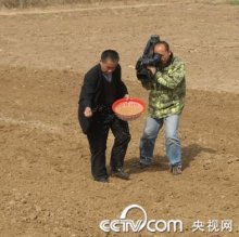 撒播
