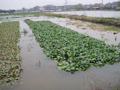 水涝