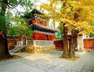 寺观