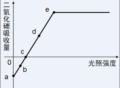 速率