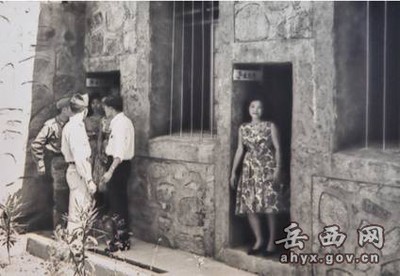 特约
