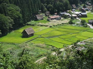 田庄
