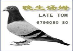 晚生