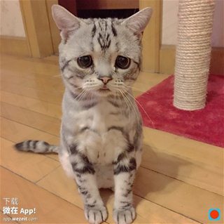 亡失