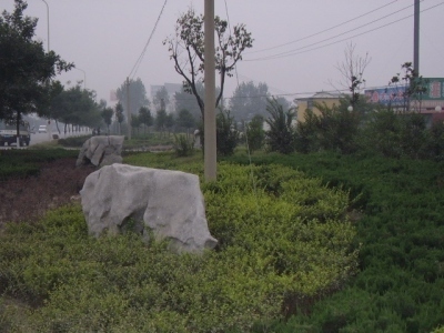 潍坊