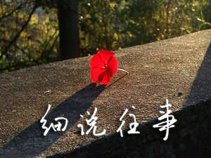 细说
