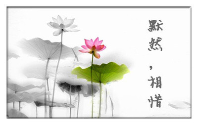 相惜