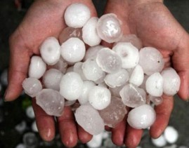 雹子