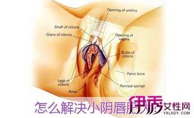 肥大