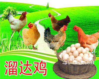 溜达