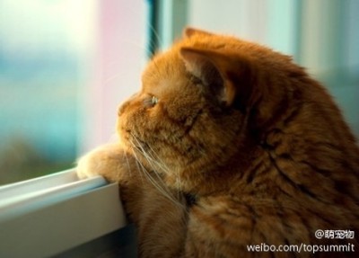 送走