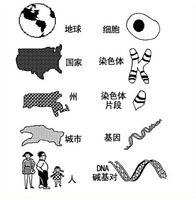 类比