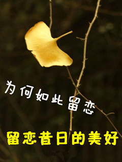 留恋