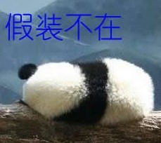 不在