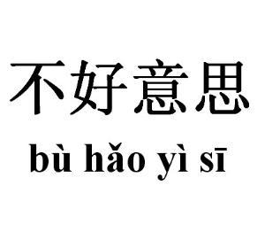 意思